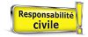 Coiffure à domicile : L'assurance responsabilité civile professionnelle (RCP)