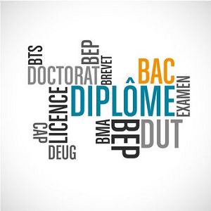 Coiffure à domicile : quels diplômes pour exercer ?