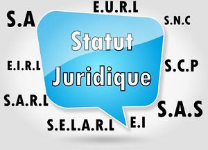 Auto-entreprise ou CDI : Quel statut choisir pour devenir coiffeuse à domicile ?